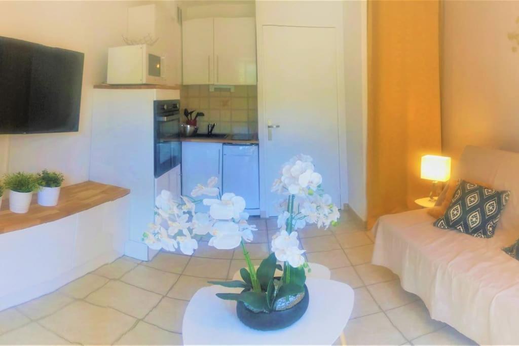 בורם-לה-מימוזה Studio Cabine Climatise 800 M De La Plage Et Des Commerces מראה חיצוני תמונה